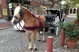 Picture of Philadelphia 30 Minute Carriage Tour